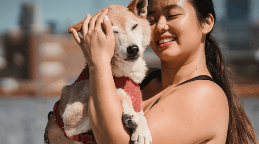 How to Build a Strong Bond with Your Dog