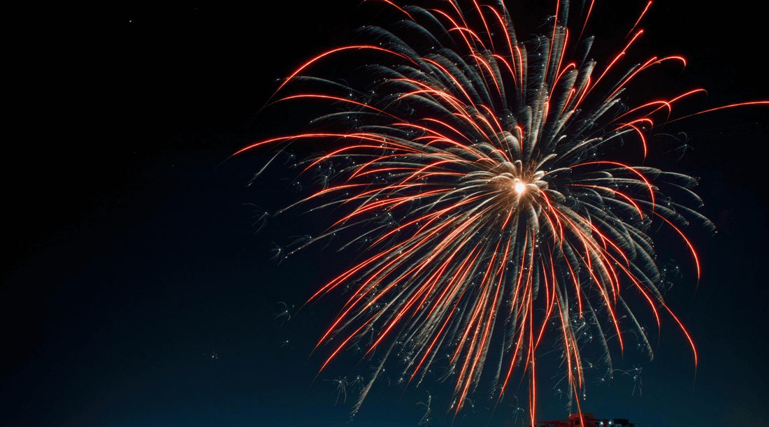 How to Keep Your Dog Calm and Safe During Fireworks